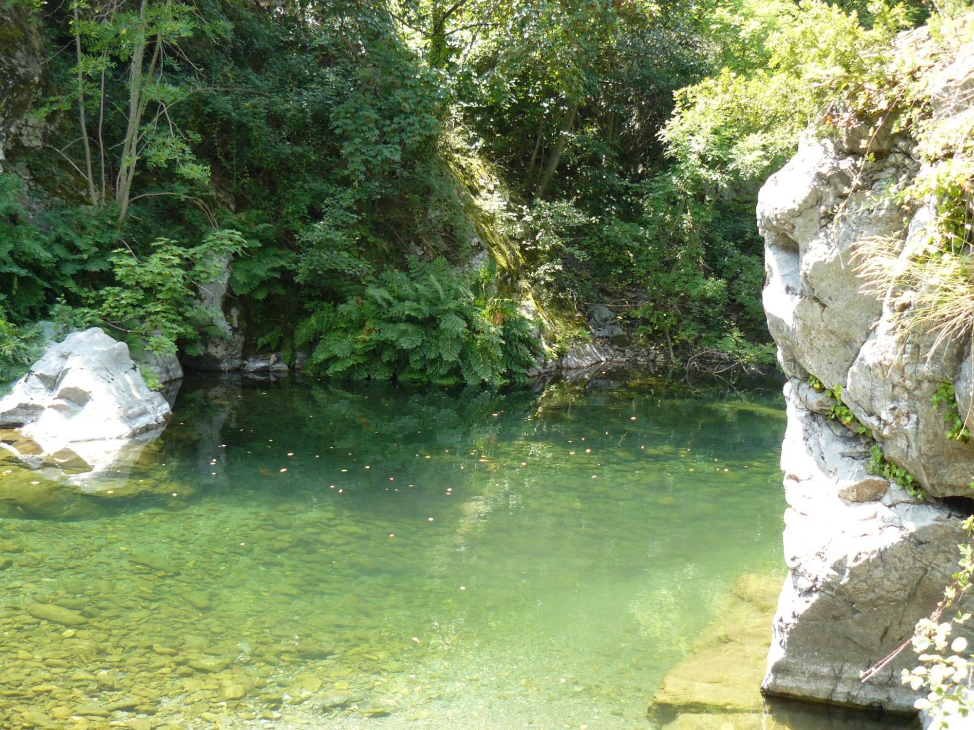 La Grenouille Valleraugue Exterior foto